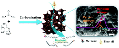 Graphical abstract: Design of nitrogen-doped graphitized 2D hierarchical porous carbons as efficient solid base catalysts for transesterification to biodiesel