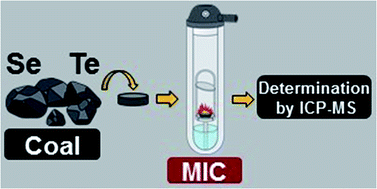 Graphical abstract: Determination of Se and Te in coal at ultra-trace levels by ICP-MS after microwave-induced combustion