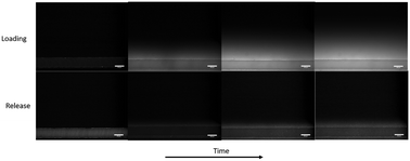 Graphical abstract: Storing and releasing rhodamine as a model hydrophobic compound in polydimethylsiloxane microfluidic devices