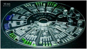 Graphical abstract: Automated serial dilutions for high-dynamic-range assays enabled by fill-level-coupled valving in centrifugal microfluidics