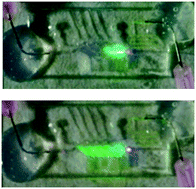 Graphical abstract: Microfluidic-controlled optical router for lab on a chip