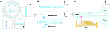 Graphical abstract: Traveling surface acoustic wave (TSAW) microfluidic fluorescence activated cell sorter (μFACS)