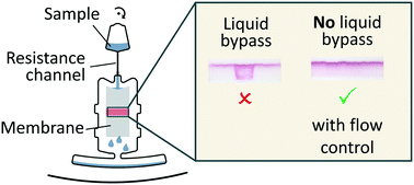 Graphical abstract: Flow control for lateral flow strips with centrifugal microfluidics