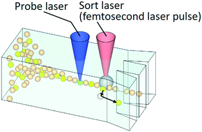 Graphical abstract: High-speed microparticle isolation unlimited by Poisson statistics