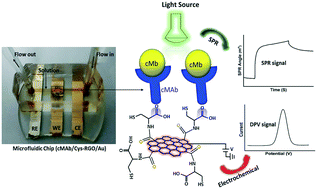 Graphical abstract: Dual-modality microfluidic biosensor based on nanoengineered mesoporous graphene hydrogels