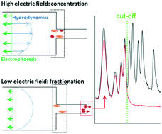 Graphical abstract: A tunable filter for high molecular weight DNA selection and linked-read sequencing