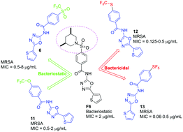 Graphical abstract: Potent trifluoromethoxy, trifluoromethylsulfonyl, trifluoromethylthio and pentafluorosulfanyl containing (1,3,4-oxadiazol-2-yl)benzamides against drug-resistant Gram-positive bacteria