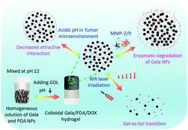 Graphical abstract: Charge reversal induced colloidal hydrogel acts as a multi-stimuli responsive drug delivery platform for synergistic cancer therapy
