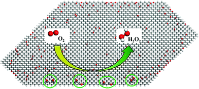 Graphical abstract: Understanding the high activity of mildly reduced graphene oxide electrocatalysts in oxygen reduction to hydrogen peroxide