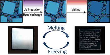 Graphical abstract: Drilling by light: ice-templated photo-patterning enabled by a dynamically crosslinked hydrogel