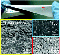 Graphical abstract: Self-assembled ultrathin film of CNC/PVA–liquid metal composite as a multifunctional Janus material