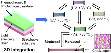 Graphical abstract: Multi-stimuli responsive chromism with tailorable mechanochromic sensitivity for versatile interactive sensing under ambient conditions