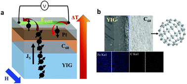 Graphical abstract: Giant spin Seebeck effect through an interface organic semiconductor