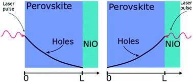 Graphical abstract: Interface limited hole extraction from methylammonium lead iodide films