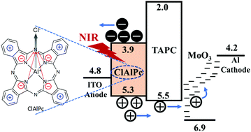 Graphical abstract: Unveiling the underlying mechanism of record-high efficiency organic near-infrared photodetector harnessing a single-component photoactive layer