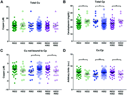 Graphical abstract: Single nucleotide polymorphisms in the human ATP7B gene modify the properties of the ATP7B protein