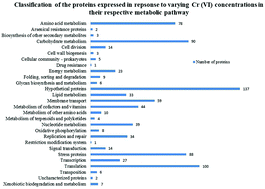 Graphical abstract: Proteomic response of marine-derived Staphylococcus cohnii #NIOSBK35 to varying Cr(vi) concentrations