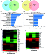 Graphical abstract: Common responses of fish embryos to metals: an integrated analysis of transcriptomes and methylomes in zebrafish embryos under the stress of copper ions or silver nanoparticles