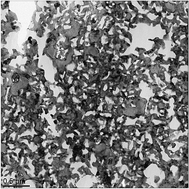 Graphical abstract: Synthesis of α′′-Fe16N2 ribbons with a porous structure