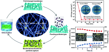 Graphical abstract: Rechargeable polyamide-based N-halamine nanofibrous membranes for renewable, high-efficiency, and antibacterial respirators