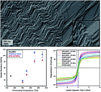 Graphical abstract: Iron oxide-based nanostructured ceramics with tailored magnetic and mechanical properties: development of mechanically robust, bulk superparamagnetic materials