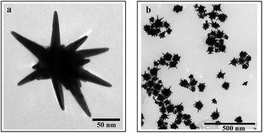 Graphical abstract: Manipulating acoustic and plasmonic modes in gold nanostars