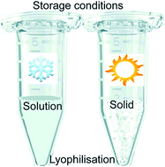 Graphical abstract: Optimisation of the preservation conditions for molecularly imprinted polymer nanoparticles specific for trypsin
