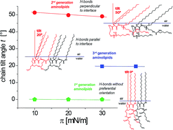 Graphical abstract: Relationship between structure and molecular interactions in monolayers of specially designed aminolipids