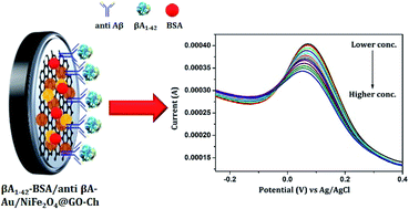 Graphical abstract: Au/NiFe2O4 nanoparticle-decorated graphene oxide nanosheets for electrochemical immunosensing of amyloid beta peptide
