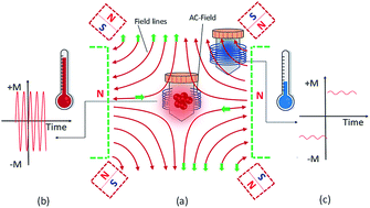 Graphical abstract: Spatial focusing of magnetic particle hyperthermia