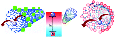 Graphical abstract: Charge transfer between lead halide perovskite nanocrystals and single-walled carbon nanotubes