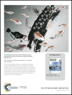 Graphical abstract: Back cover