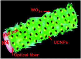 Graphical abstract: Nonmetallic plasmon induced 500-fold enhancement in the upconversion emission of the UCNPs/WO3−x hybrid