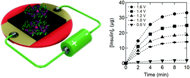 Graphical abstract: Electrothermal patches driving the transdermal delivery of insulin