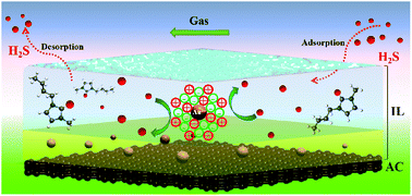 Graphical abstract: An ultra-high H2S-resistant gold-based imidazolium ionic liquid catalyst for acetylene hydrochlorination