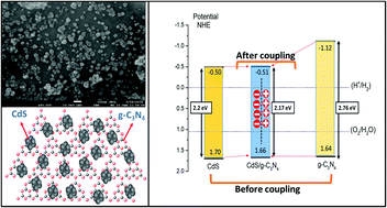Graphical abstract: Shifting of the band edge and investigation of charge carrier pathways in the CdS/g-C3N4 heterostructure for enhanced photocatalytic degradation of levofloxacin
