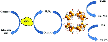 Graphical abstract: Metal–oxygen clusters as peroxidase mimics for their multifarious applications in colorimetric sensors