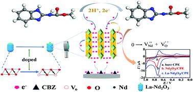 Graphical abstract: A novel low-dimensional heteroatom doped Nd2O3 nanostructure for enhanced electrochemical sensing of carbendazim
