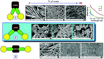 Graphical abstract: Tuning the aggregation performance by varying the substituent position: comparative study of neutral bis-urea derivatives in aqueous medium