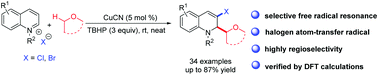Graphical abstract: Copper-catalyzed selective difunctionalization of N-heteroarenes through a halogen atom transfer radical process