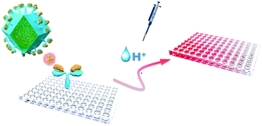 Graphical abstract: An acid-responsive all-in-one signal amplification strategy for the ultrasensitive prostate-specific antigen detection