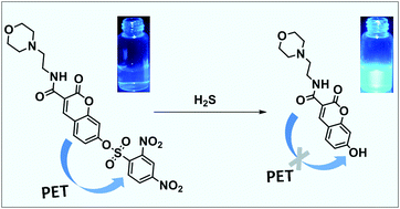 Graphical abstract: A PET-based lysosome-targeted turn-on fluorescent probe for the detection of H2S and its bioimaging application in living cells and zebrafish