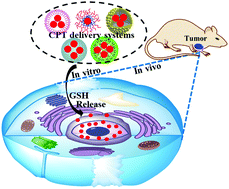 Graphical abstract: Intracellular GSH-responsive camptothecin delivery systems