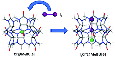 Graphical abstract: Formation of the non-classical interhalide anion [I2Cl]− in methyl-bambus[6]uril cavity