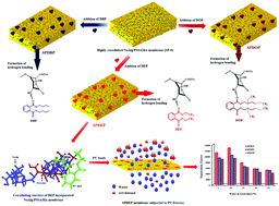 Graphical abstract: Effects of different plasticizers on highly crosslinked NaAlg/PSSAMA membranes for pervaporative dehydration of tert-butanol