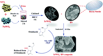 Graphical abstract: The facile co-precipitation synthesis of strontium tungstate anchored on a boron nitride (SrWO4/BN) composite as a promising electrocatalyst for pharmaceutical drug analysis