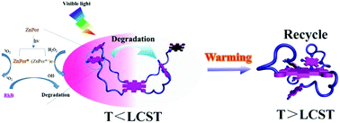 Graphical abstract: The synthesis of star-shaped poly(N-isopropylacrylamide) with two zinc porphyrins as the core and end groups via ATRP and “CLICK” chemistry and a photocatalytic performance study