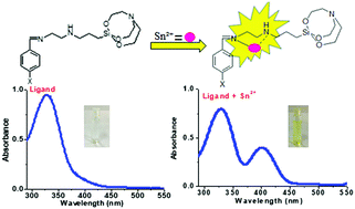 Graphical abstract: Designing the recognition of Sn2+ ions and antioxidants: N-heterocyclic organosilatranes and their magnetic nanocomposites