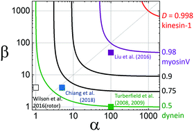 Graphical abstract: Track-walking molecular motors: a new generation beyond bridge-burning designs