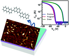 Graphical abstract: High-performance optical memory transistors based on a novel organic semiconductor with nanosprouts